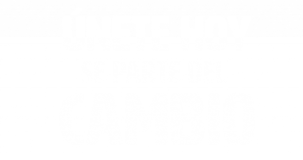 Familias de Acogimiento